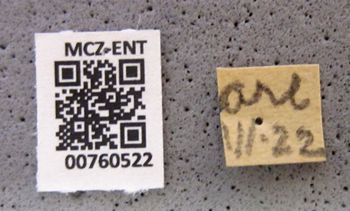 Media type: image;   Entomology 760522 Aspect: labels